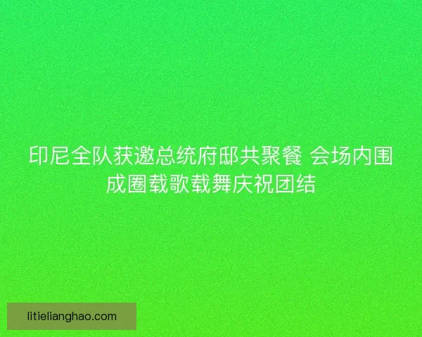 印尼全队获邀总统府邸共聚餐 会场内围成圈载歌载舞庆祝团结 印尼全队获邀总统府邸共聚餐 会场内围成圈载歌载舞庆祝团结