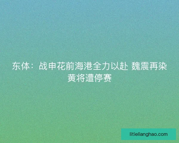 东体:战申花前海港全力以赴 魏震再染黄将遭停赛 东体:战申花前海港全力以赴 魏震再染黄将遭停赛